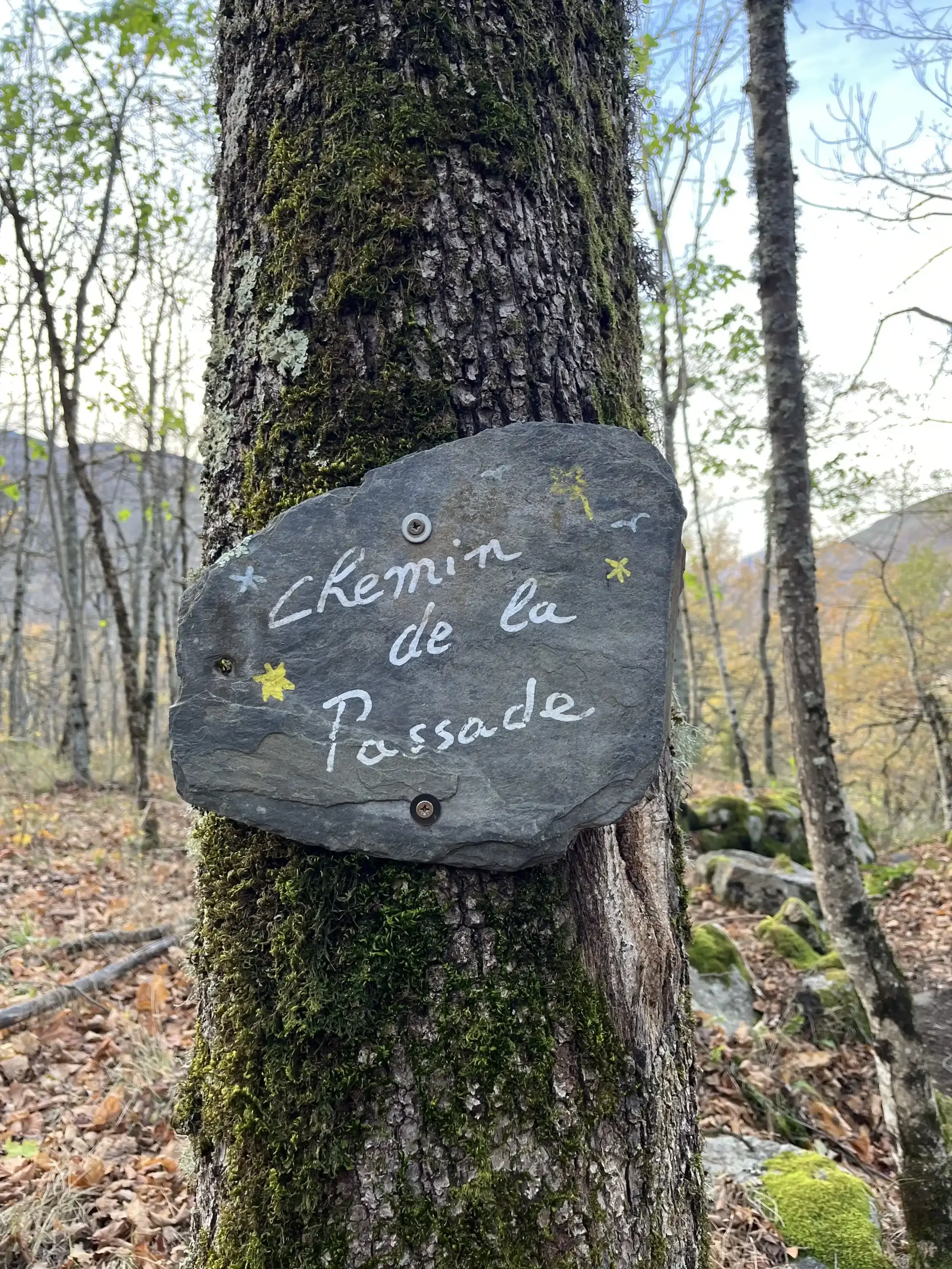 Lac de Goulours