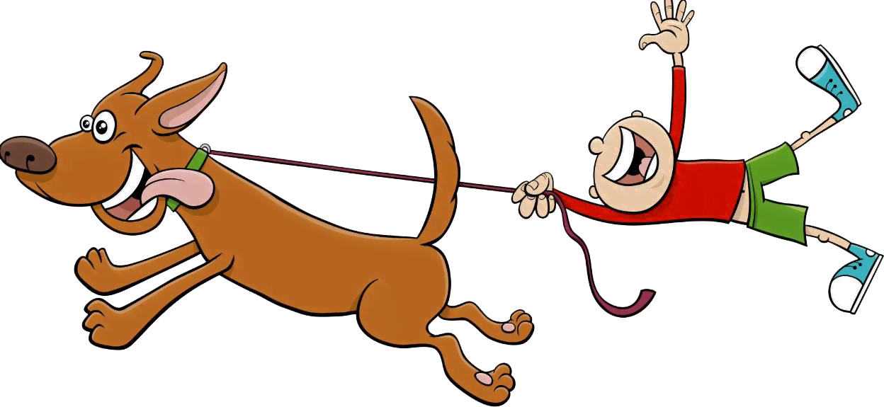 Tenir les chiens en laisse – H2C Tenir les chiens en laisse - Les Accros De La Rando