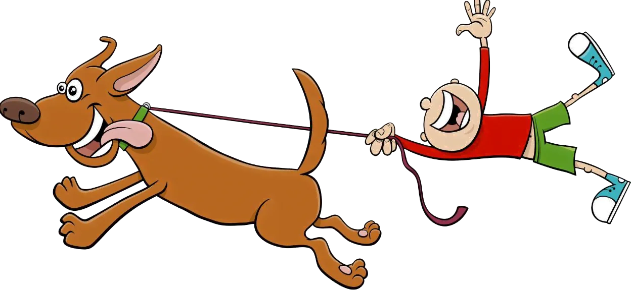 Tenir les chiens en laisse – H2C Tenir les chiens en laisse - Les Accros De La Rando