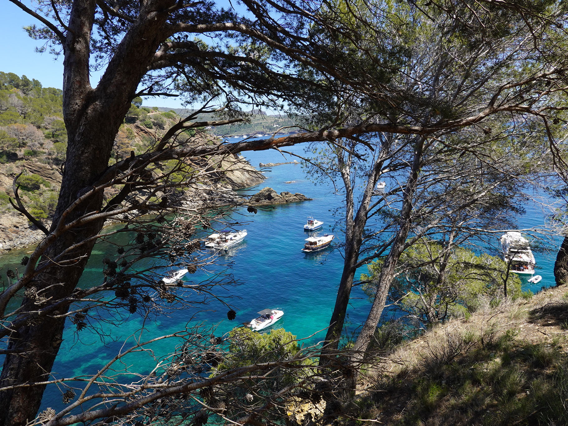 Lire la suite à propos de l’article El Cami de Ronda, el Megalitic, Rosas, Espagne