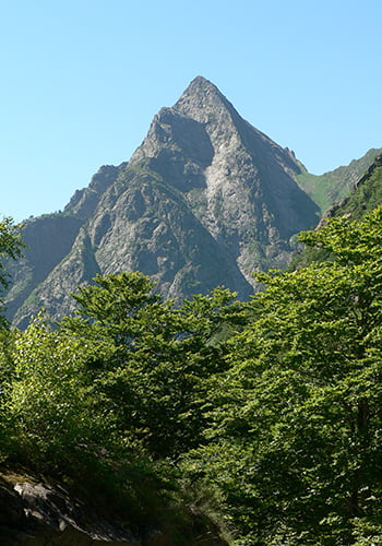 Dent d'Orlu