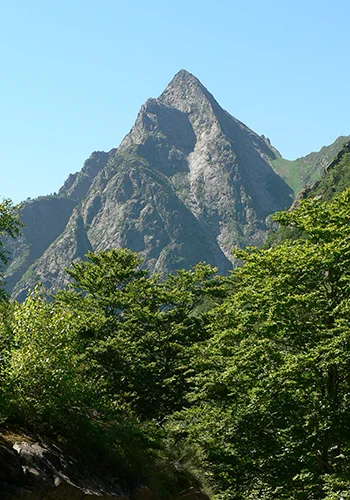 Dent d'Orlu