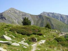 Pic du Canigou