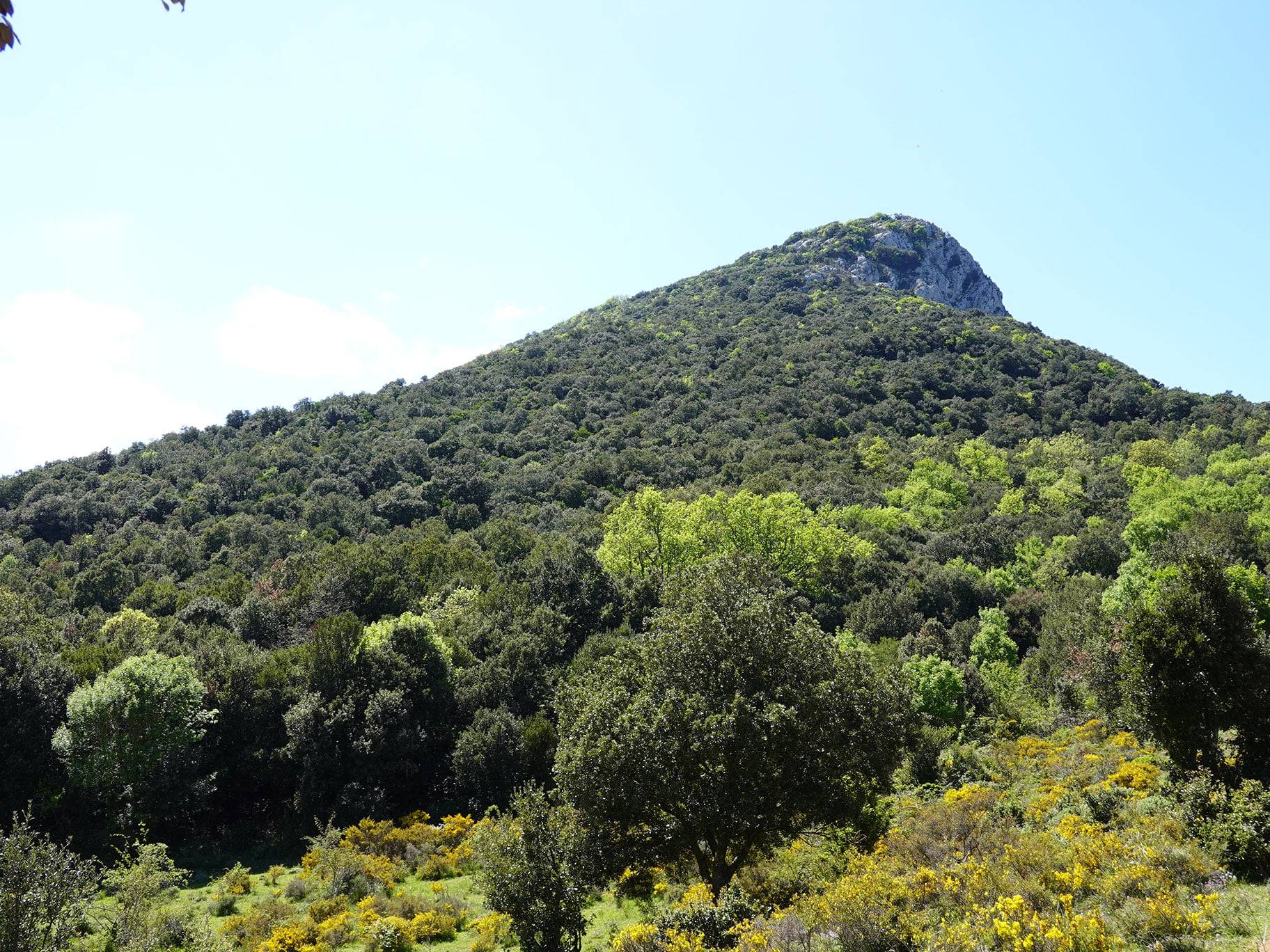 Les gorges de Galamus