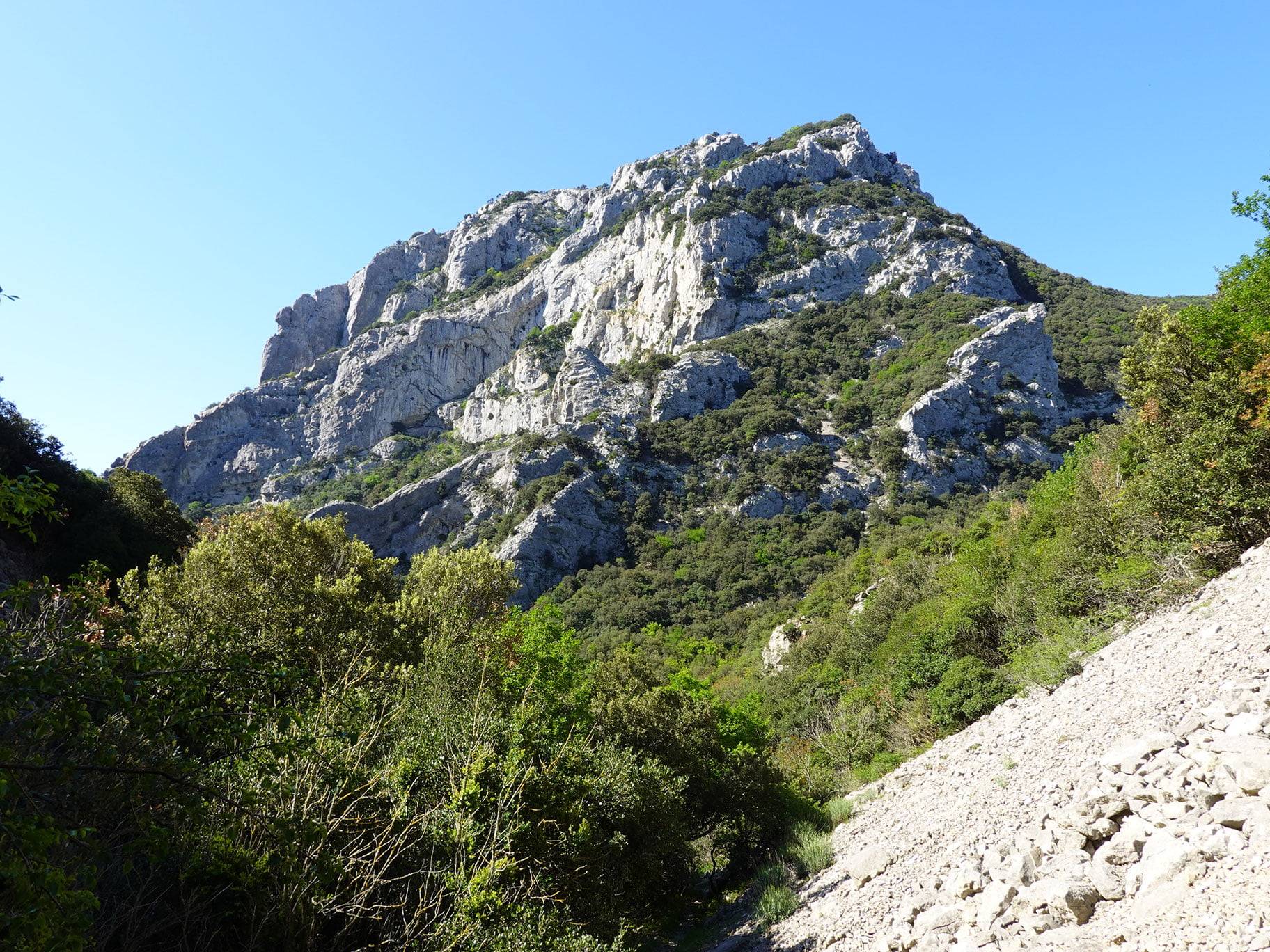 Les gorges de Galamus