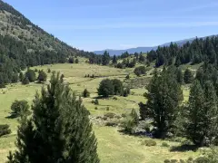 Les Étangs de Rabassoles