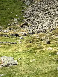 Étang de Soulcem, étang de Roumazet, étang de la Soucarrane
