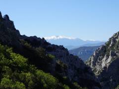 Les gorges de Galamus