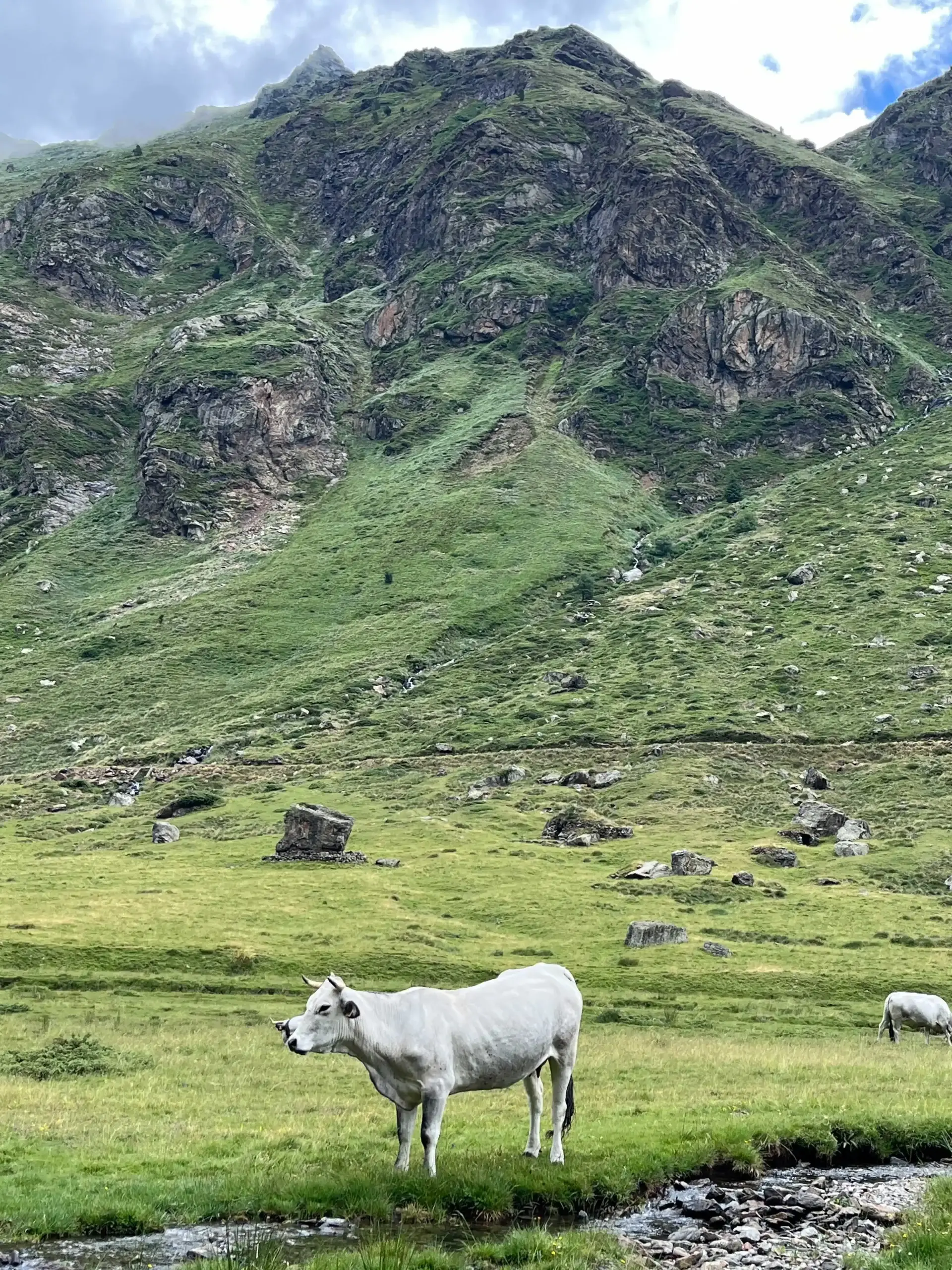 Étang de Soulcem, étang de Roumazet, étang de la Soucarrane