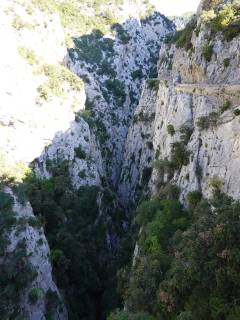 Les gorges de Galamus