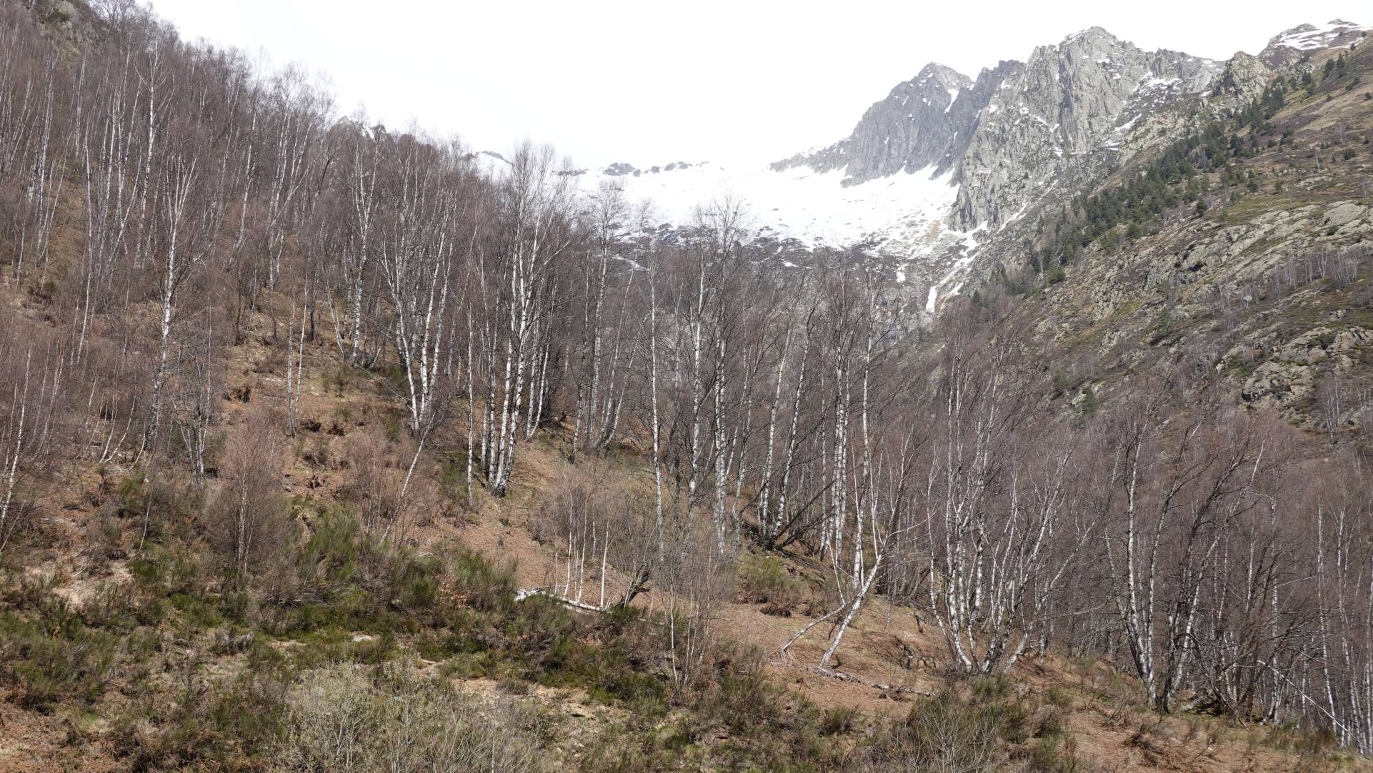 Cascades de l'Artigue