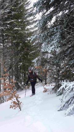 Raquettes aux Monts d'Olmes