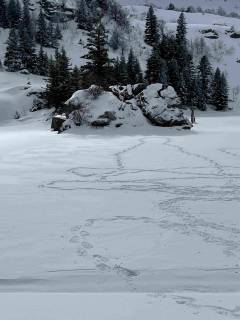 Raquettes aux Monts d'Olmes