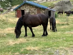 Étang de Soulcem, étang de Roumazet, étang de la Soucarrane