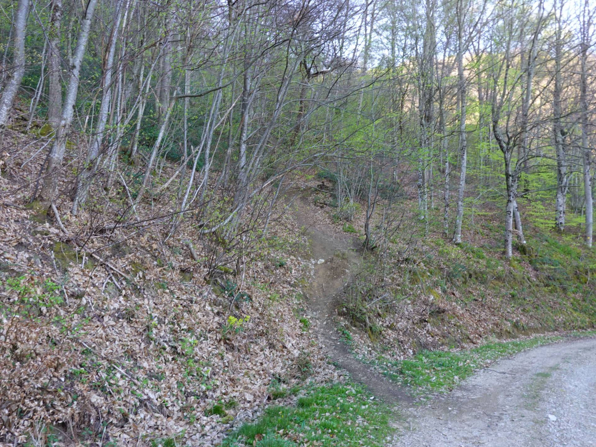 Le Rocher de Batail par le Picou