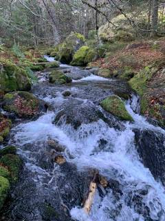 Étang de Comte - Sources Sulfureuses – Mérens-les-Vals