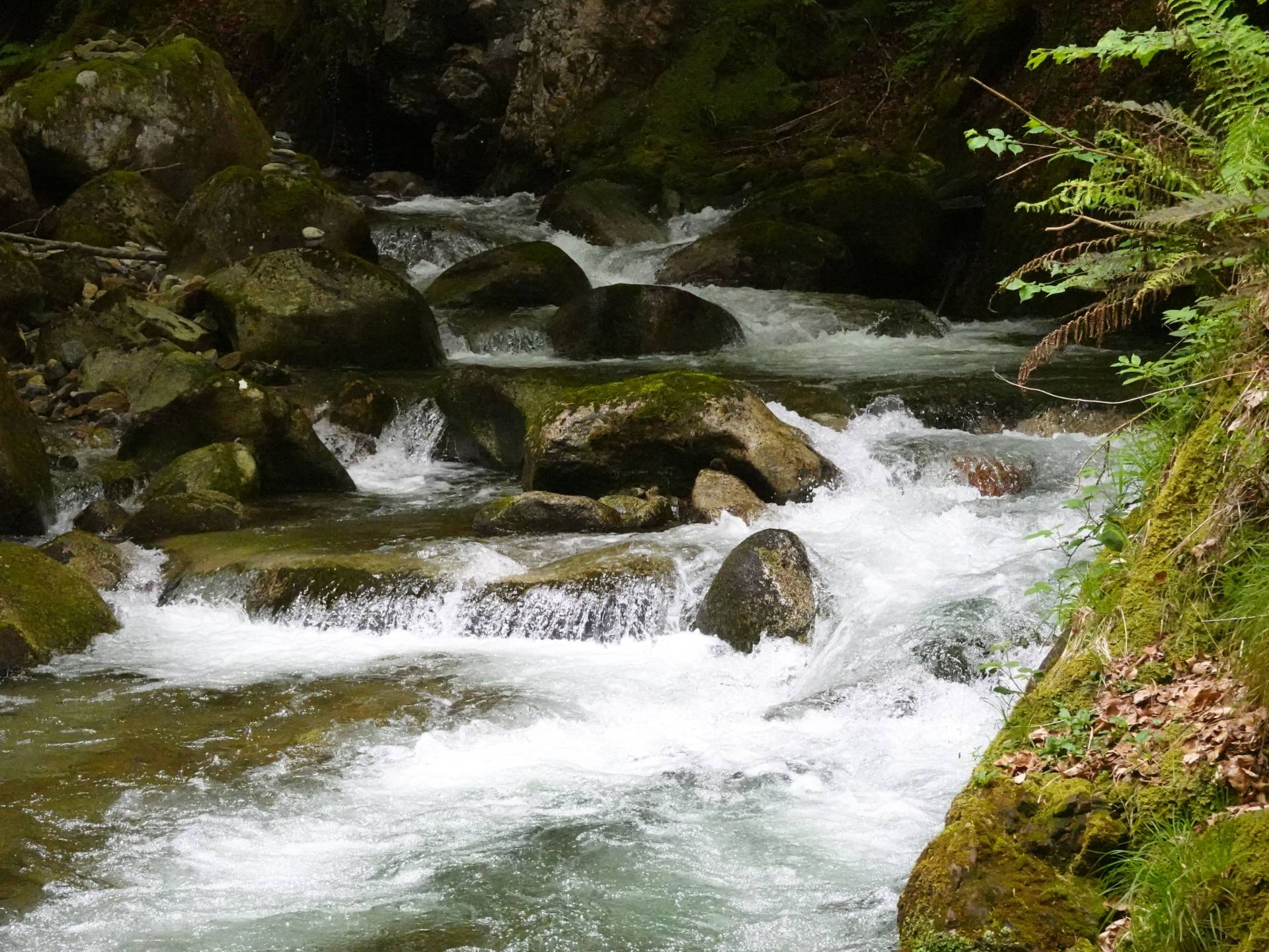 Cascades d'Ars et étang de Guzet