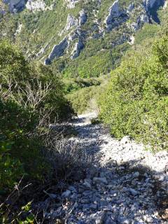 Les gorges de Galamus