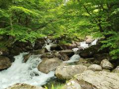 Cascades d'Ars et étang de Guzet