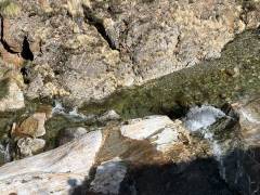 Cascades de l'Artigue