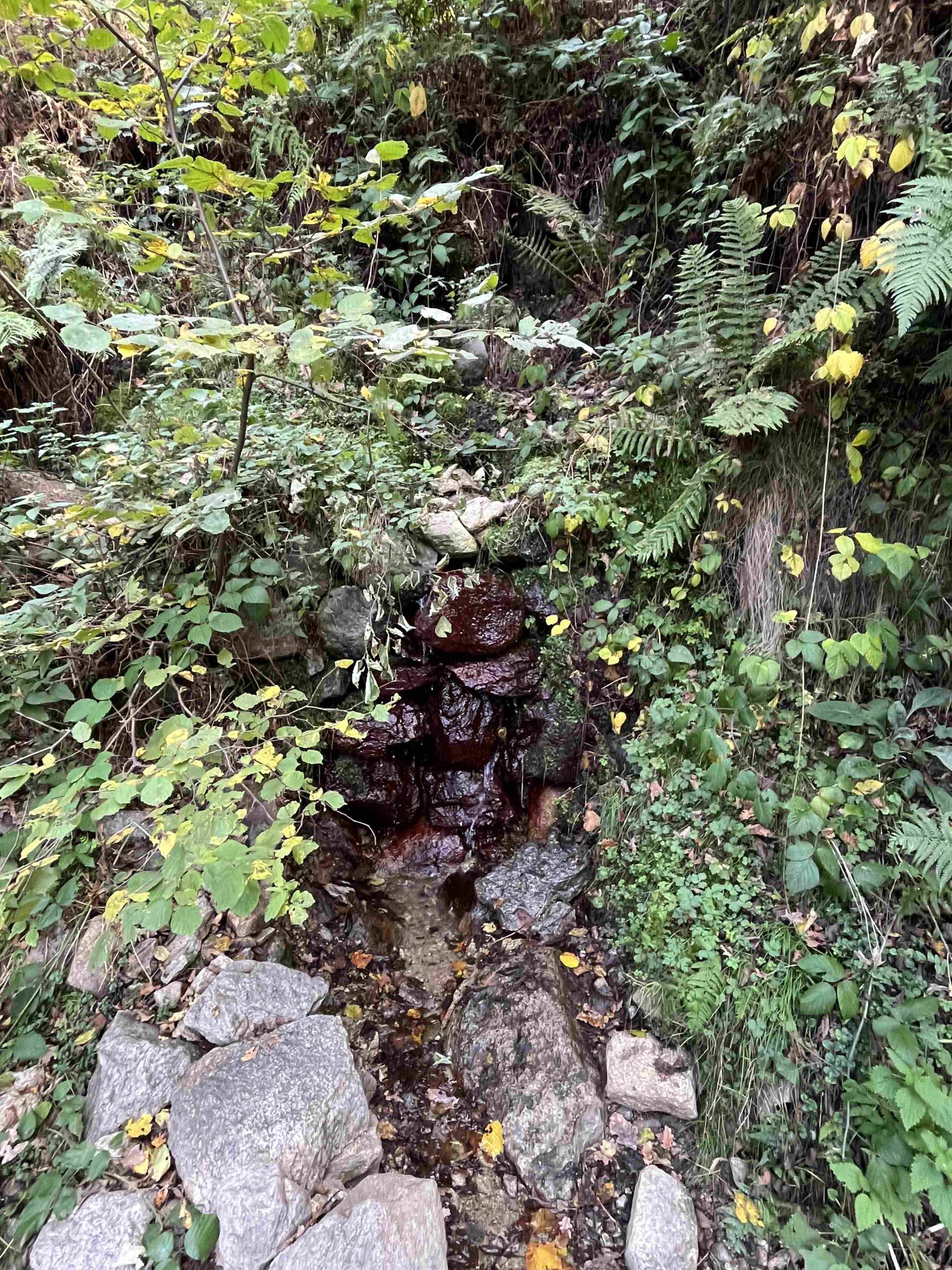 Étang de Comte - Sources Sulfureuses – Mérens-les-Vals