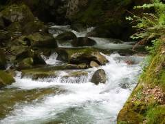 Cascades d'Ars et étang de Guzet