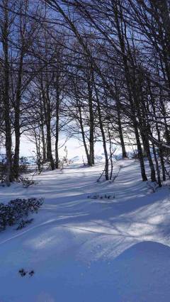Raquettes aux Monts d'Olmes