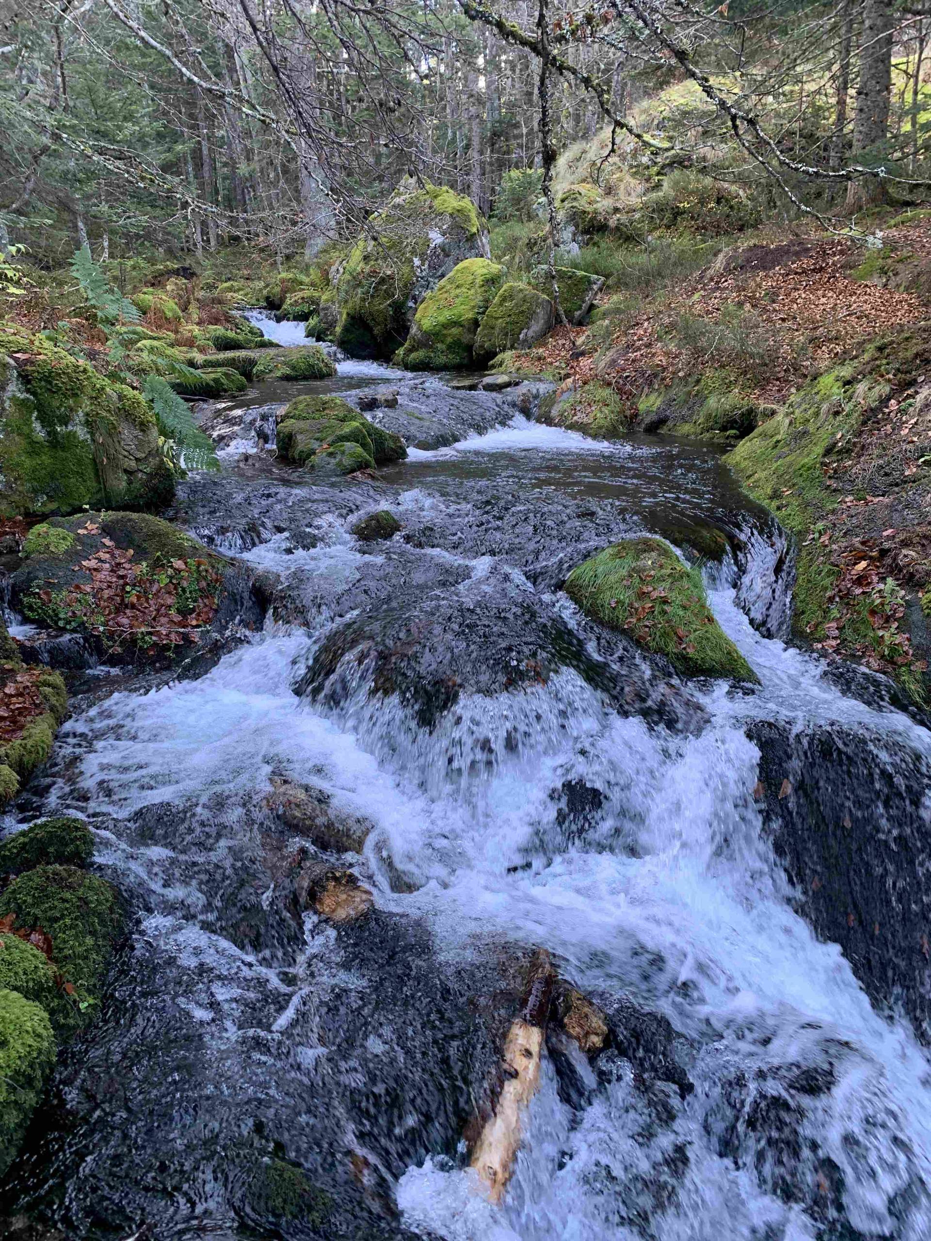 Étang de Comte - Sources Sulfureuses – Mérens-les-Vals