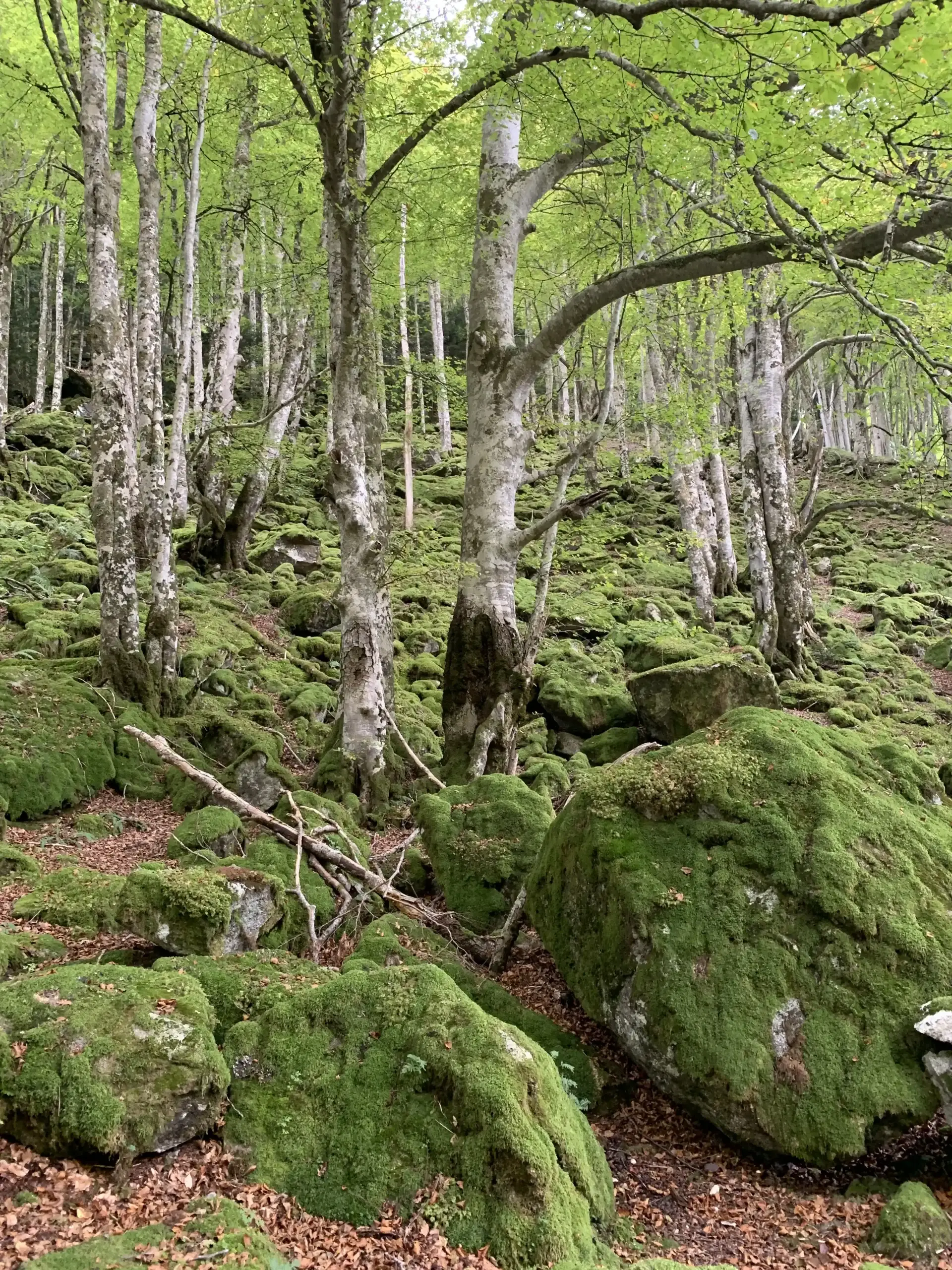 Mont Valier - Le Seigneur du Couserans