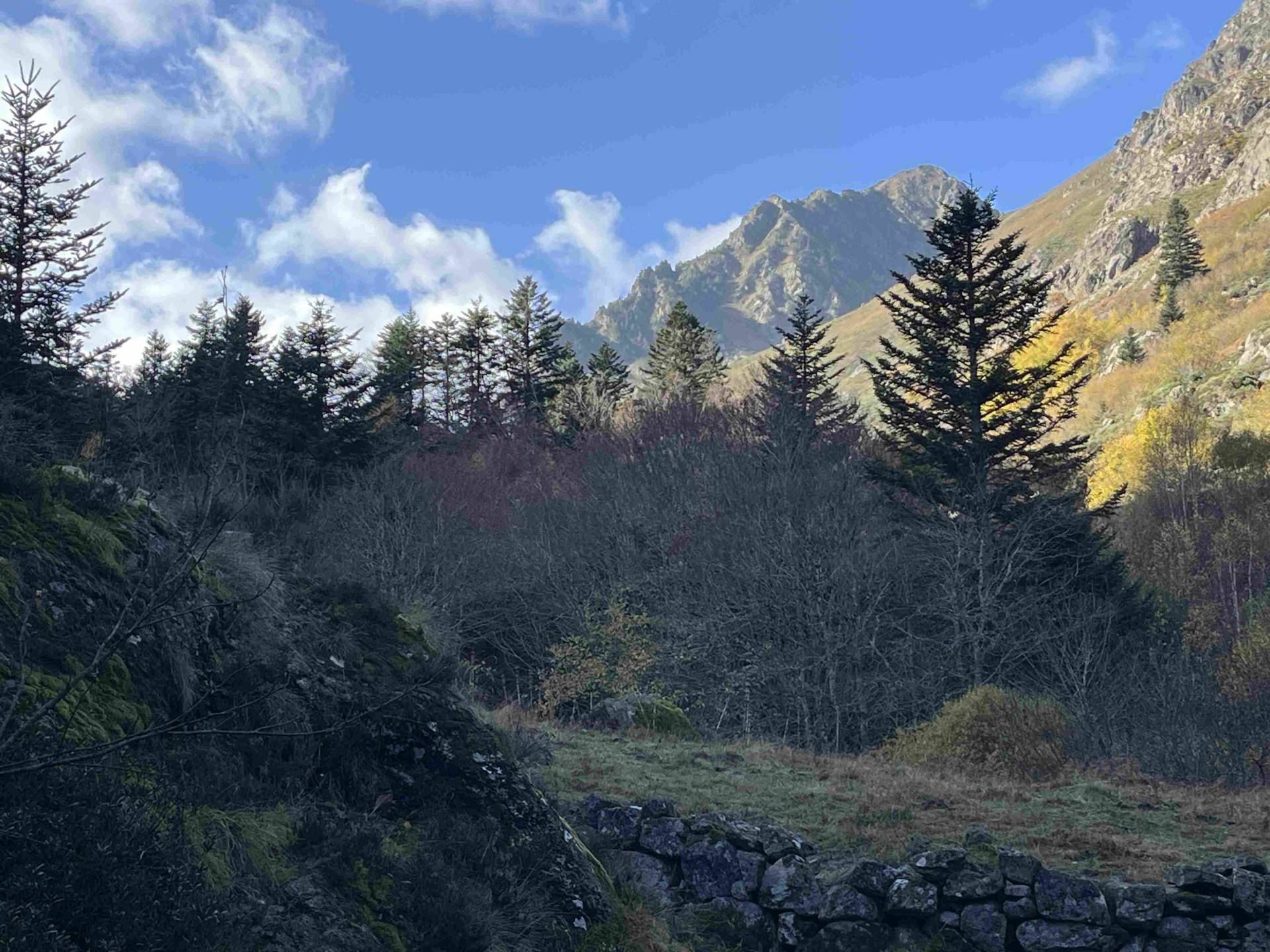 Étang de Comte - Sources Sulfureuses – Mérens-les-Vals