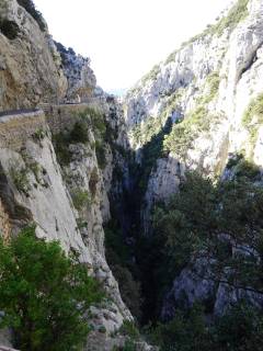 Les gorges de Galamus