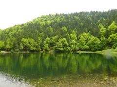 Cascades d'Ars et étang de Guzet