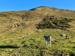 20231007-pic-trois-seigneurs-02