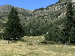 Les Étangs de Rabassoles