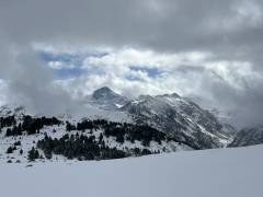 Beille14
