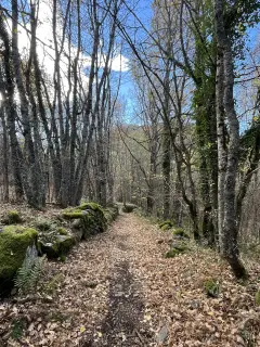 Lac de Goulours