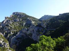 Les gorges de Galamus