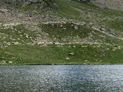 Étang de Soulcem, étang de Roumazet, étang de la Soucarrane