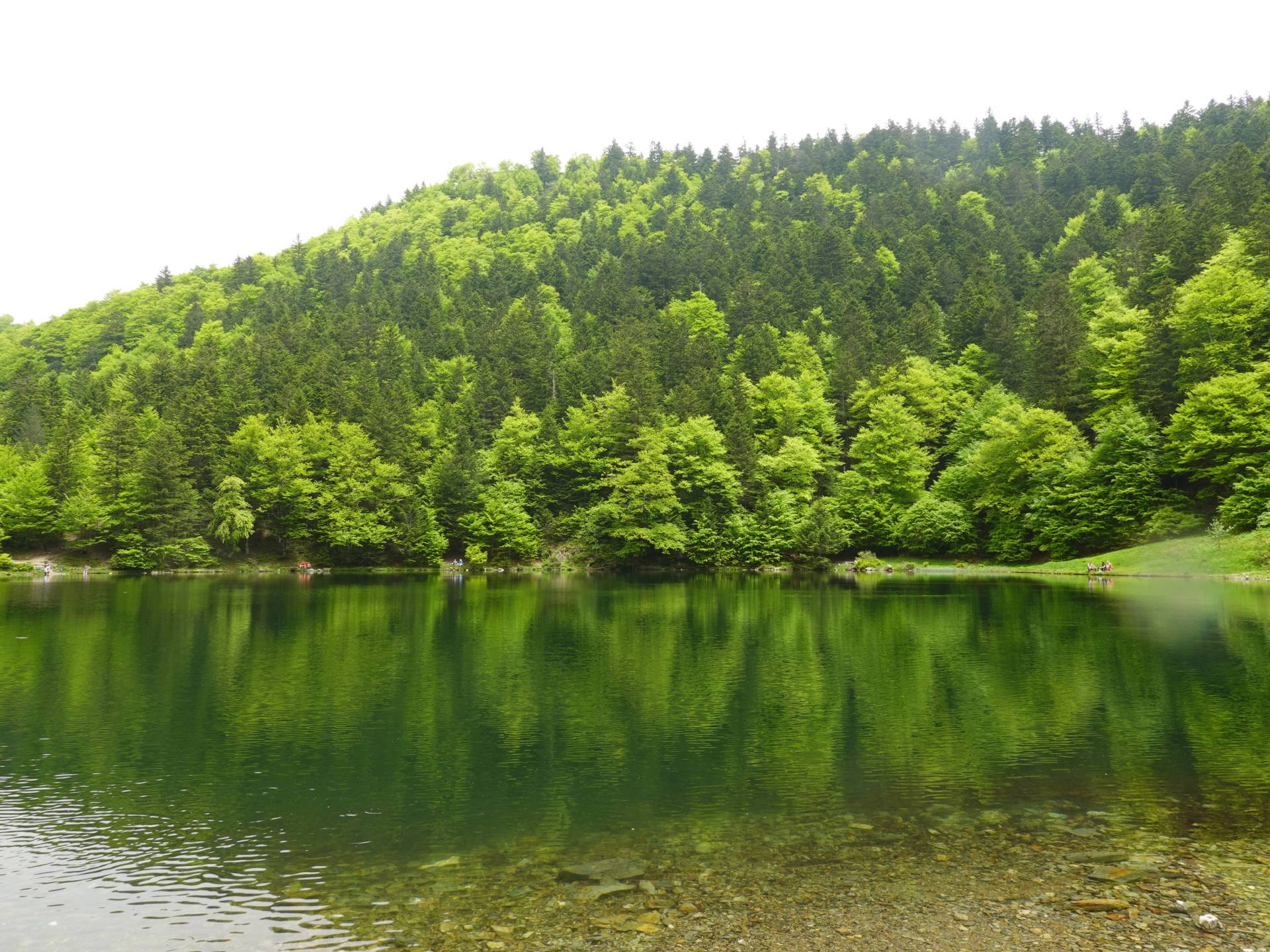 Cascades d'Ars et étang de Guzet