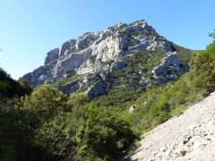 Les gorges de Galamus