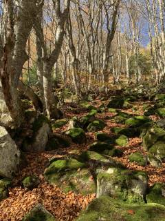 Étang de Comte - Sources Sulfureuses – Mérens-les-Vals