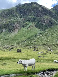 Étang de Soulcem, étang de Roumazet, étang de la Soucarrane