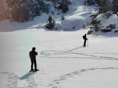 Raquettes aux Monts d'Olmes