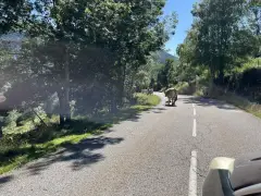 Les Étangs de Rabassoles