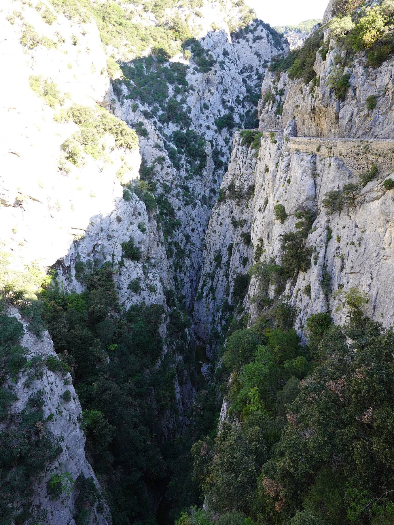 Les gorges de Galamus