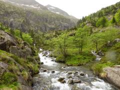 Cascades d'Ars et étang de Guzet