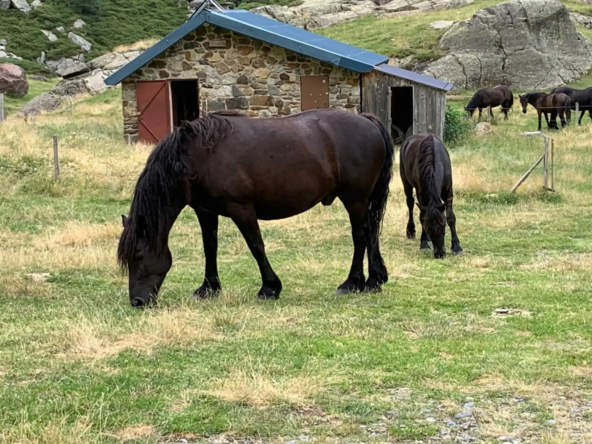 Étang de Soulcem, étang de Roumazet, étang de la Soucarrane