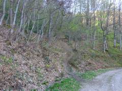 Le Rocher de Batail par le Picou