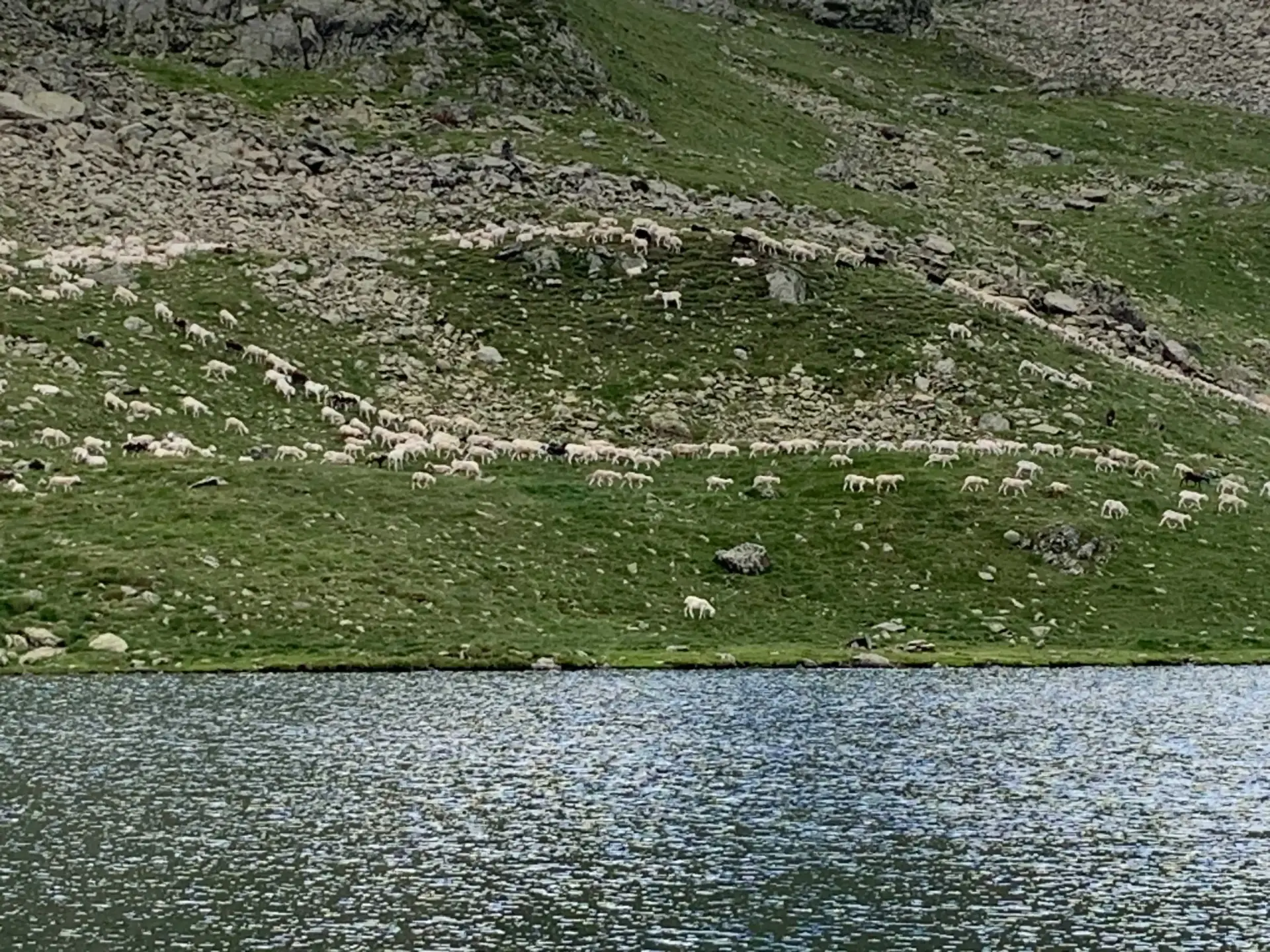 Étang de Soulcem, étang de Roumazet, étang de la Soucarrane