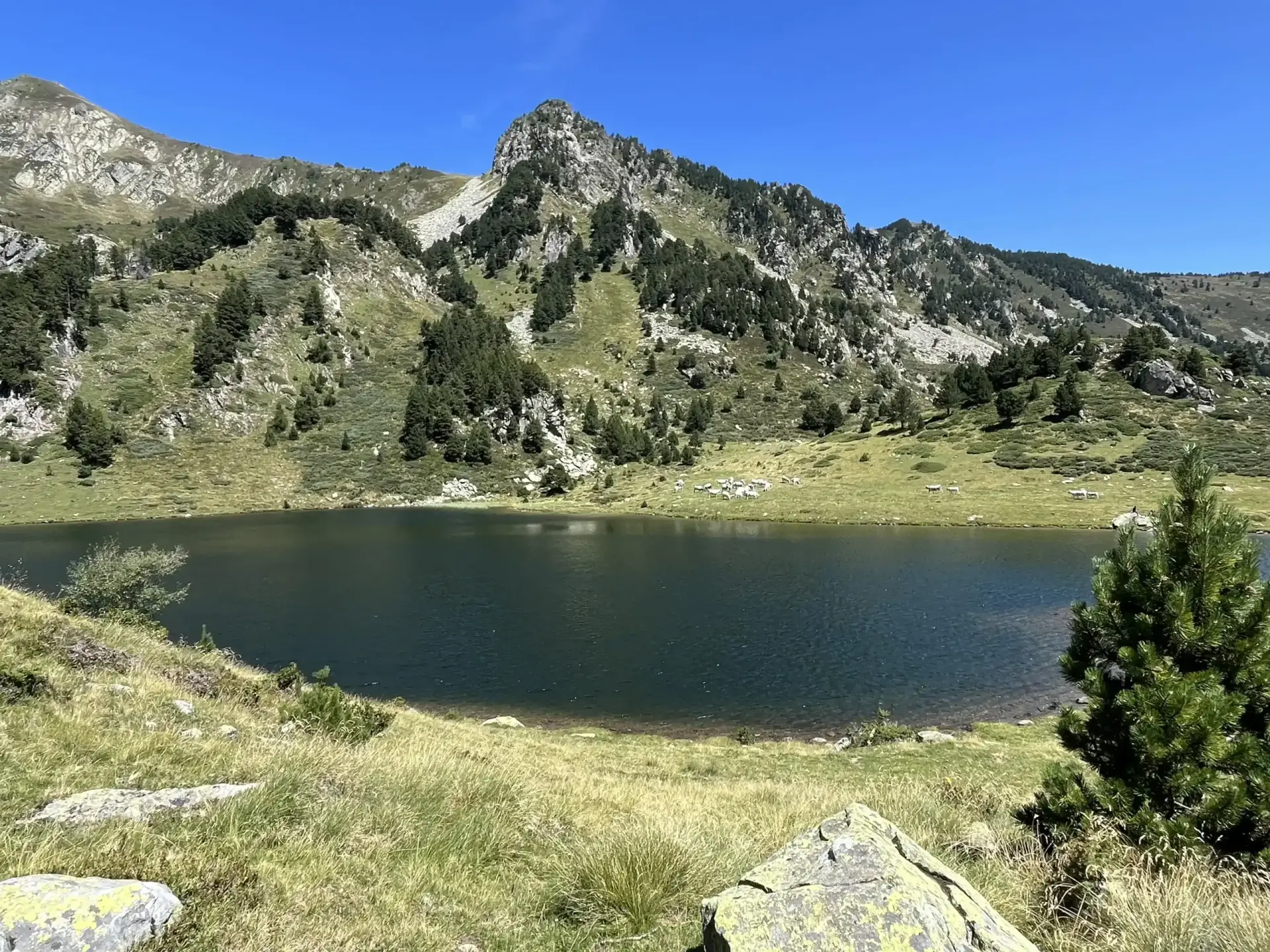 Les Étangs de Rabassoles